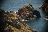 Enlarge photo 682