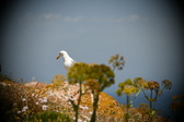 Enlarge photo 373