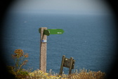 Enlarge photo 374