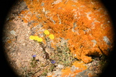 Enlarge photo 377