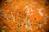 Enlarge photo 386