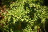 Enlarge photo 394