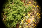 Enlarge photo 396