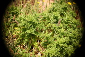 Enlarge photo 397