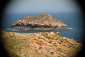 Enlarge photo 400