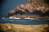 Enlarge photo 403