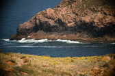 Enlarge photo 404