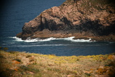 Enlarge photo 405