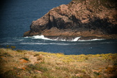 Enlarge photo 408