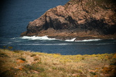 Enlarge photo 409