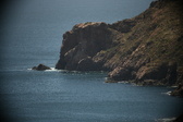 Enlarge photo 412