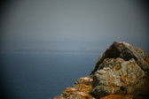 Enlarge photo 417