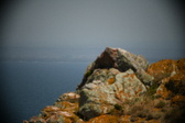 Enlarge photo 418