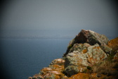 Enlarge photo 419