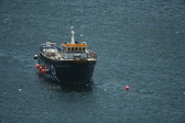 Enlarge photo 423