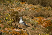 Enlarge photo 429