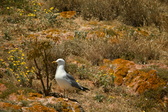 Enlarge photo 430