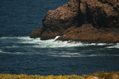 Enlarge photo 438
