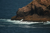 Enlarge photo 440