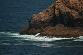 Enlarge photo 441