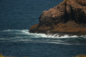 Enlarge photo 443