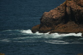 Enlarge photo 445
