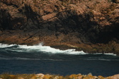 Enlarge photo 446