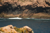 Enlarge photo 448