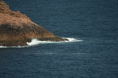 Enlarge photo 449