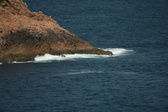 Enlarge photo 451