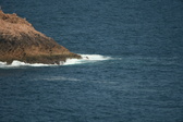 Enlarge photo 452