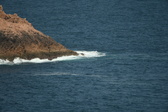 Enlarge photo 453