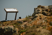 Enlarge photo 459