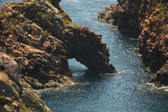 Enlarge photo 460