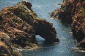 Enlarge photo 461