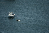 Enlarge photo 472