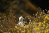 Enlarge photo 480