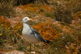 Enlarge photo 501