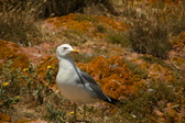 Enlarge photo 503