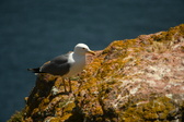 Enlarge photo 504