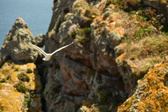 Enlarge photo 517