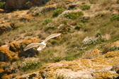 Enlarge photo 518