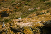 Enlarge photo 519