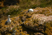 Enlarge photo 524