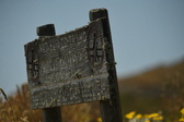 Enlarge photo 527