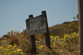 Enlarge photo 529