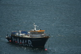 Enlarge photo 538