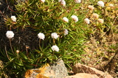 Enlarge photo 553
