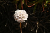 Enlarge photo 556