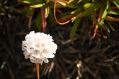 Enlarge photo 559